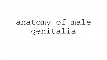 Play Masturbation techniques for men. stimulation of the corona.
